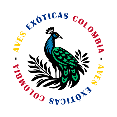Aves Exóticas Colombia logo