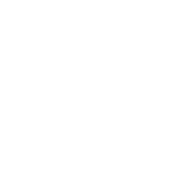 Camille Michoulier logo