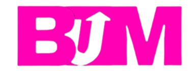 Business Up Media logo