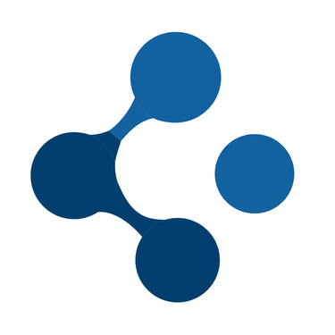 Saly Analytical Solutions logo