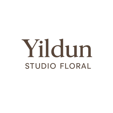 Yildun logo