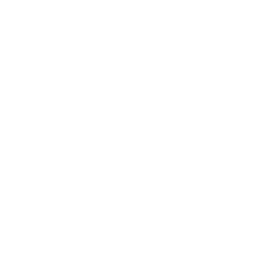 VivaFlex Rehab logo
