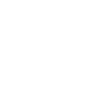 Sumptuous Tours logo