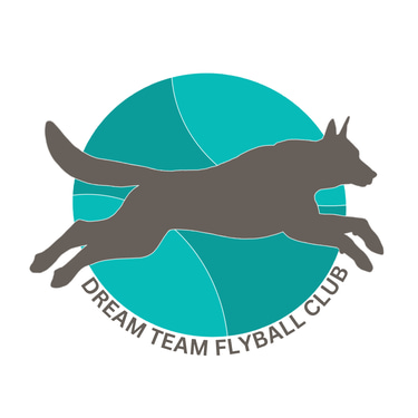 Dream Team Flyball logo