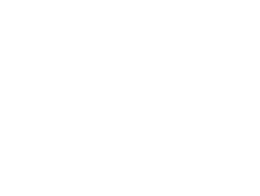 Anna Tsapo Graphic Design and Visual Communications logo