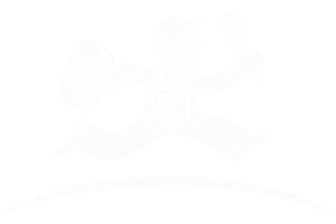 Pipe Doctor logo