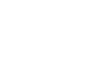 Pro Immigration Mexico logo