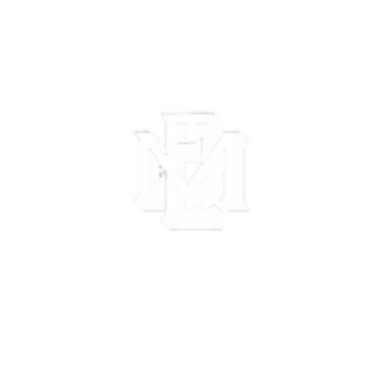Endless Media logo