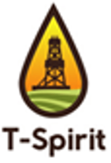 T-Spirit  logo