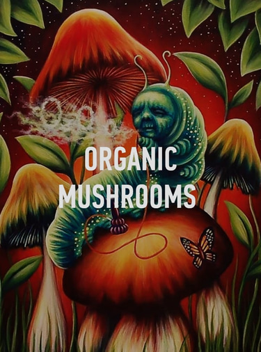 Organic Magical Mushrooms logo