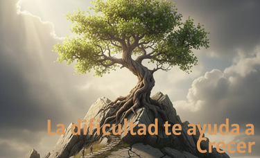 Renacertransgeneracional logo