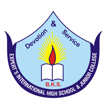 Experts International High School logo