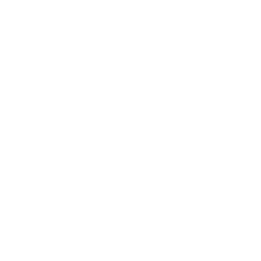 Denis DSGN logo