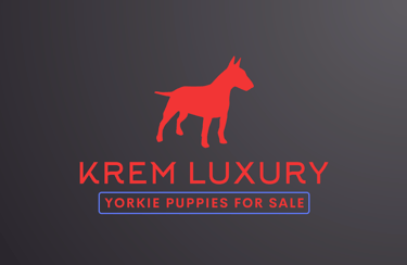 Yorkie Puppies For Sale logo