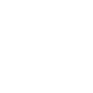 HS Musical® logo