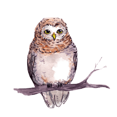 Anna Sowińska Doradztwo zawodowe. Terapia Skoncentrowana na  logo