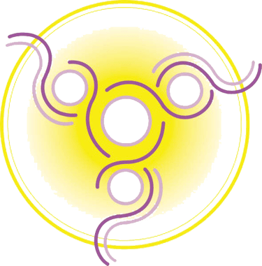 amasfera logo