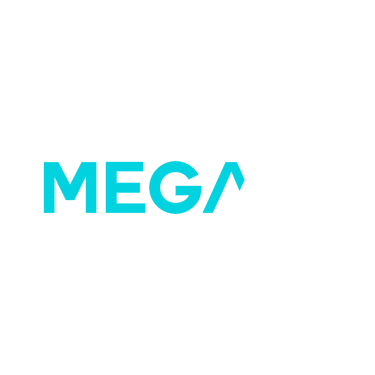 Mega fit logo