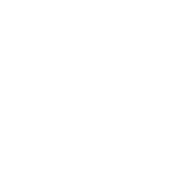 BLINGROUTE logo