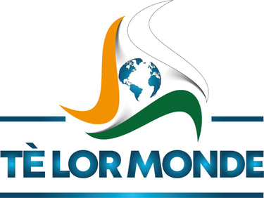 IMMOBILIER logo