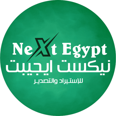 Next Egypt logo
