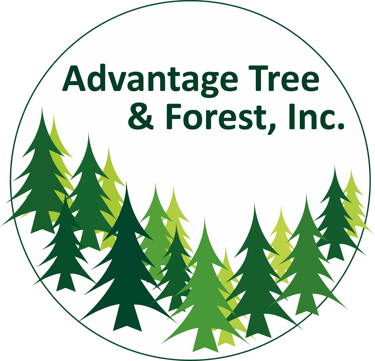 Advantage Tree & Forest, Inc. logo
