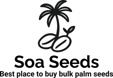 Soa Seeds logo