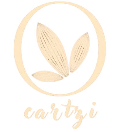 cartzi logo