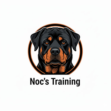 noc's training logo