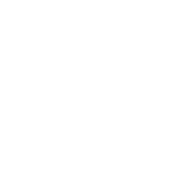 Web Developer logo