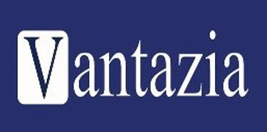 BGS Development Solutions logo