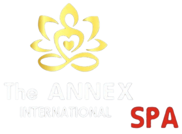 The Annex International Spa logo