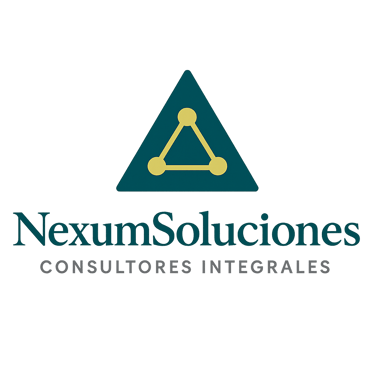 NexumConsultores logo
