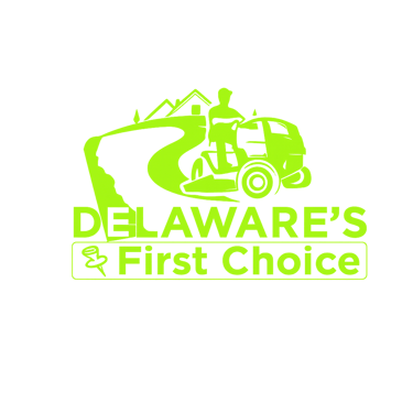 Delaware's First Choice logo
