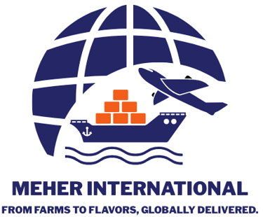 MEHER INTERNATIONAL logo