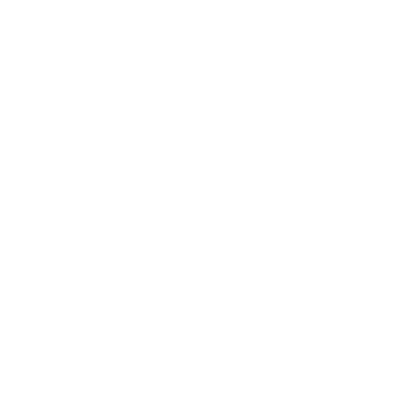 Ponyclub de Toekomst logo