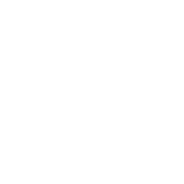 Summit Brands Co. logo