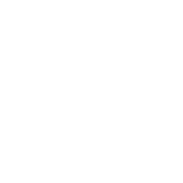 Cashflow Fanatic logo