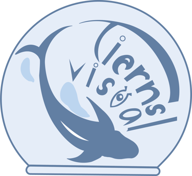 tiernsvisual logo