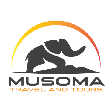Musoma Travel And Tours logo
