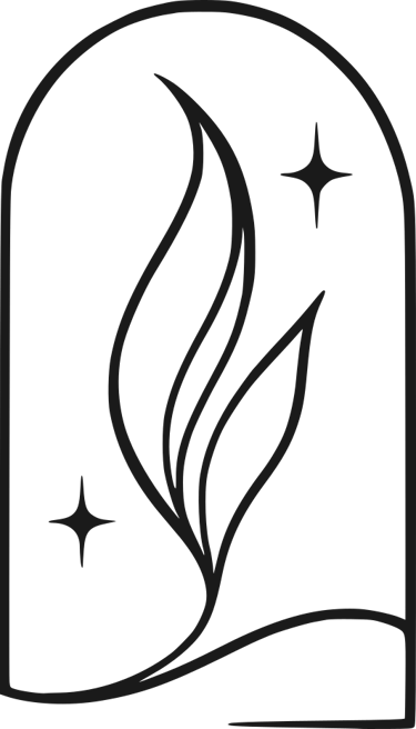 Transition Déco logo