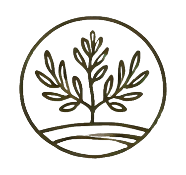 little olive logo