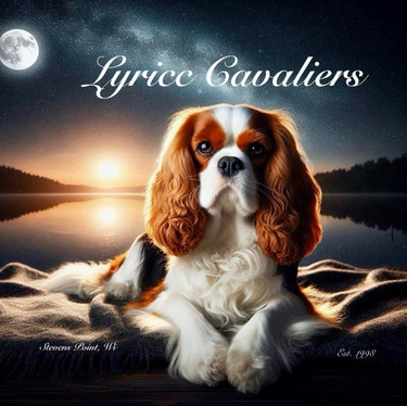 Lyricc Cavalier King Charles Spaniels logo
