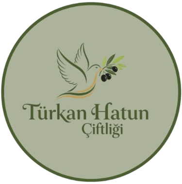 Terken Hatun logo