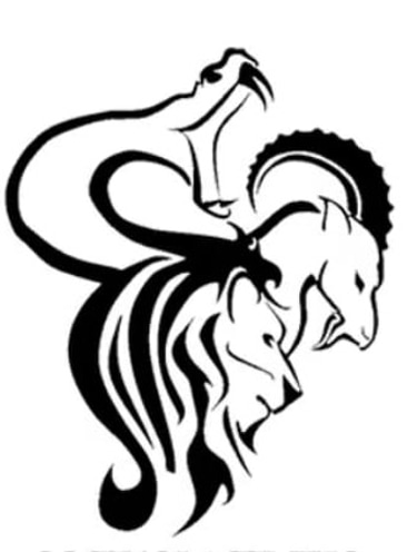 Compra Venta de Palets reciclados  logo