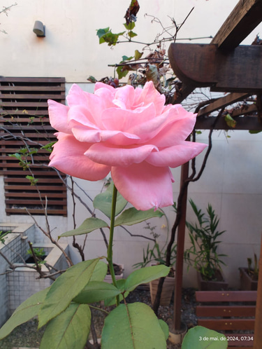 Casa Vovó Maria Augusta logo