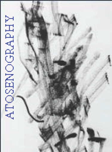 AtoSecond Cover Services logo