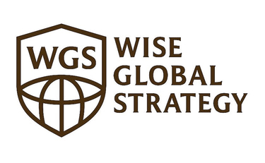 Wise Global Strategy logo