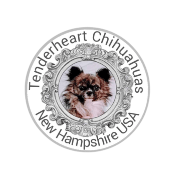 Tenderheart Chihuahuas Puppies logo