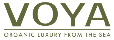 VOYA logo